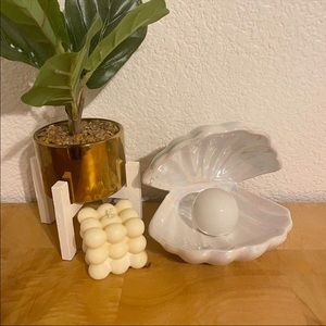 Seashell lamp
